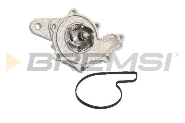 Water Pump, engine cooling (WP0161)