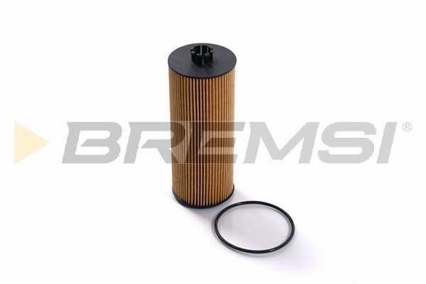 Oil Filter (FL1711)
