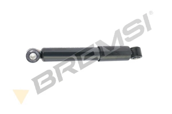 Shock Absorber (SA2173)