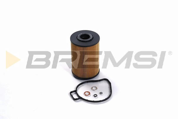 Oil Filter (FL1716)