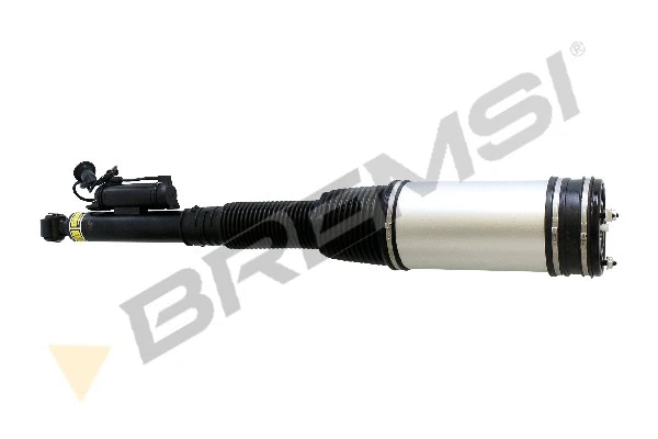 Air Suspension Strut (SA1930)