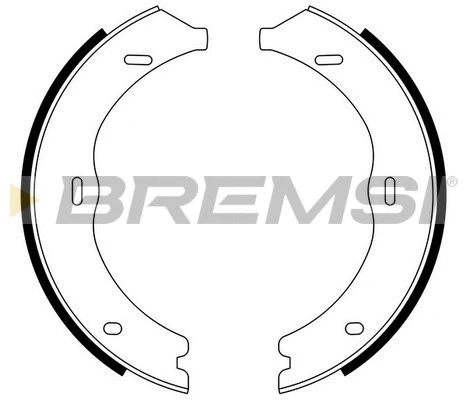 Brake Shoe Set, parking brake (GF0316)