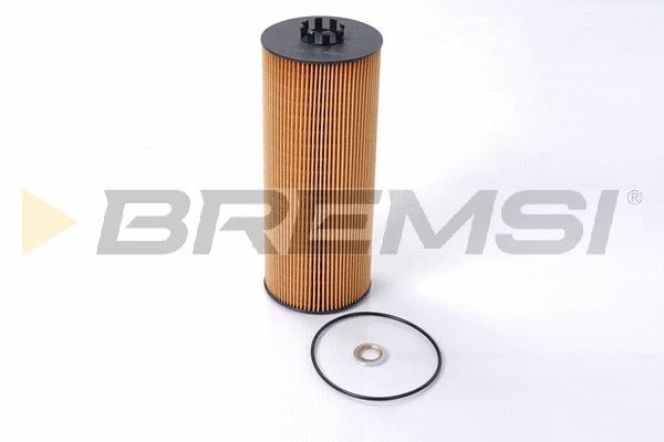 Oil Filter (FL1725)