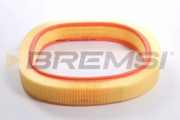Air Filter (FA2155)