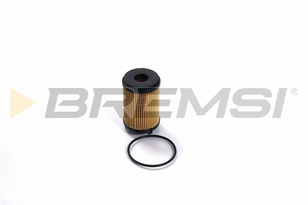 Oil Filter (FL2483)