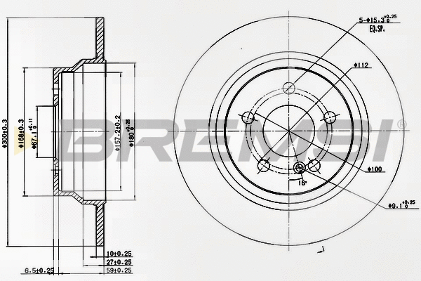 Brake Disc (CD7308S)