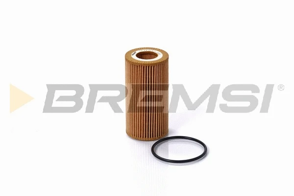 Oil Filter (FL0698)