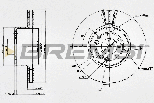 Brake Disc (CD6613V)