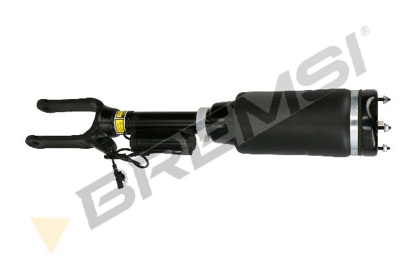Air Suspension Strut (SA2054)