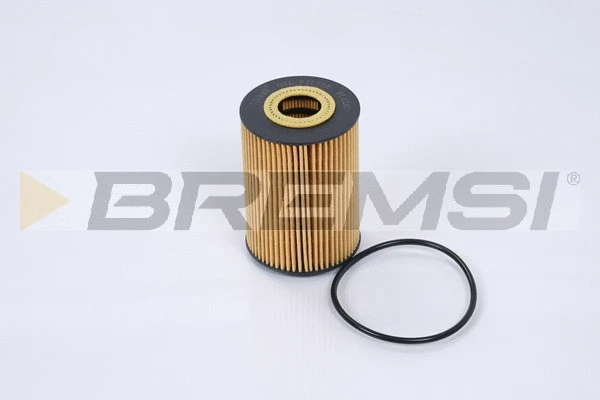 Oil Filter (FL1287)