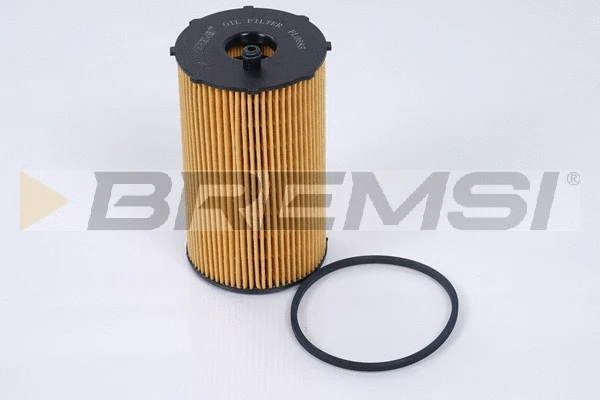 Oil Filter (FL0685)