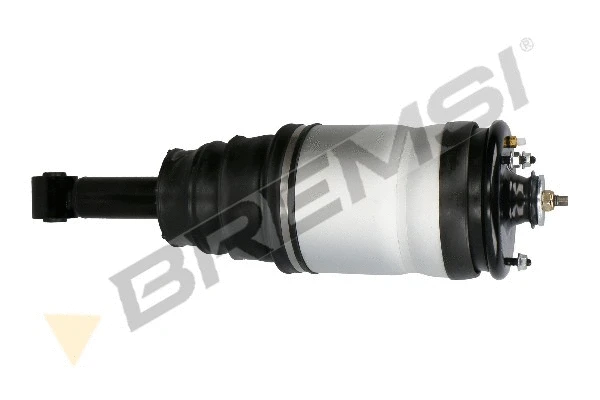 Air Suspension Strut (SA1996)