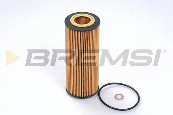 Oil Filter (FL0016)