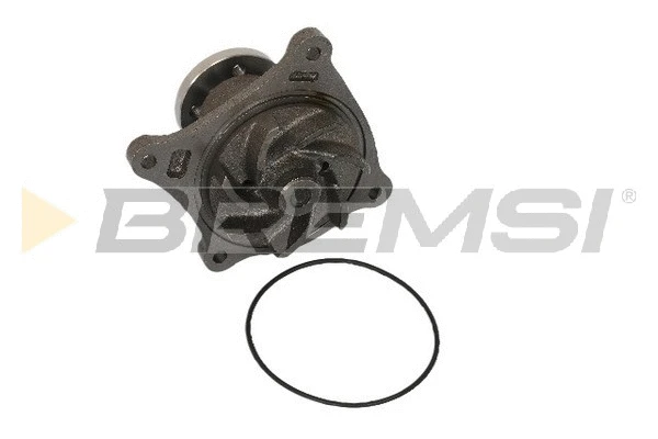 Water Pump, engine cooling (WP0495)