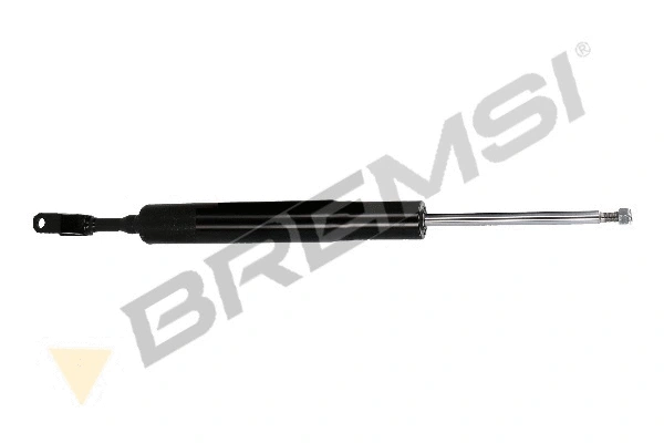 Shock Absorber (SA0698)