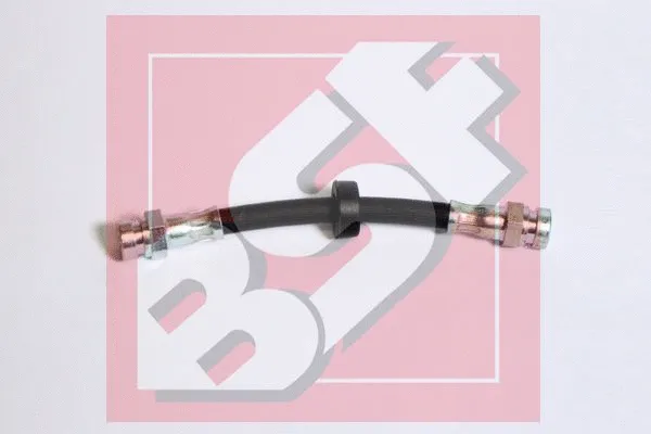 Brake Hose (18408)