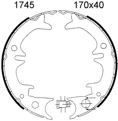 Brake Shoe Set, parking brake (01745)