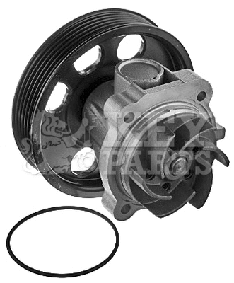Water Pump, engine cooling (KCP2032)