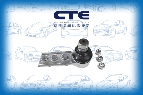 Ball Joint (CBJ17006A)