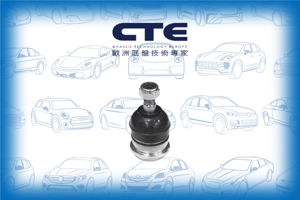Ball Joint (CBJ03019)