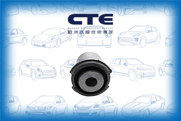 Mounting, control/trailing arm (CBH31008)