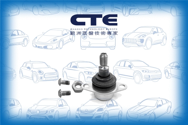 Ball Joint (CBJ09010A)