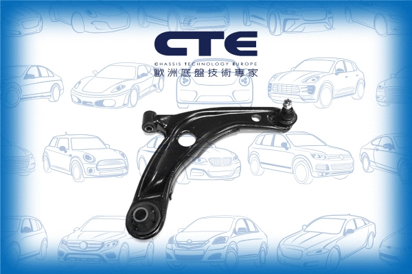 Control/Trailing Arm, wheel suspension (CS-258R)