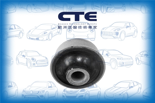 Mounting, control/trailing arm (CBH16009)