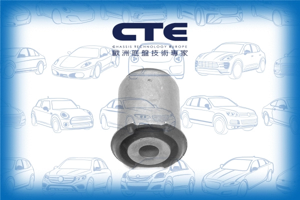 Mounting, control/trailing arm (CBH31009)
