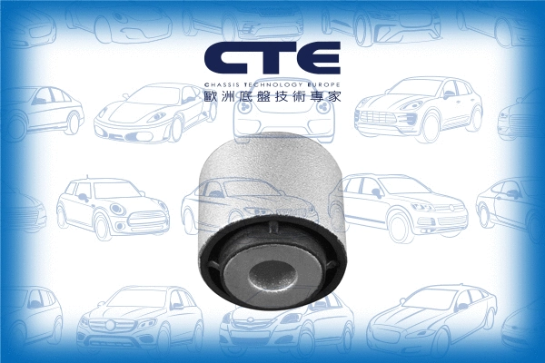 Mounting, control/trailing arm (CBH21029)