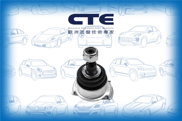 Ball Joint (CBJ09003)