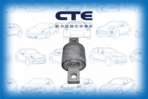 Mounting, control/trailing arm (CBH05013)