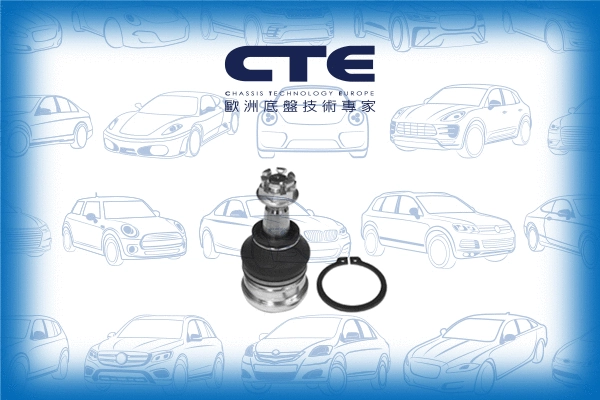 Ball Joint (CBJ25003)