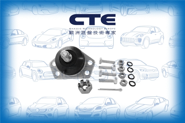 Ball Joint (CBJ02003A)
