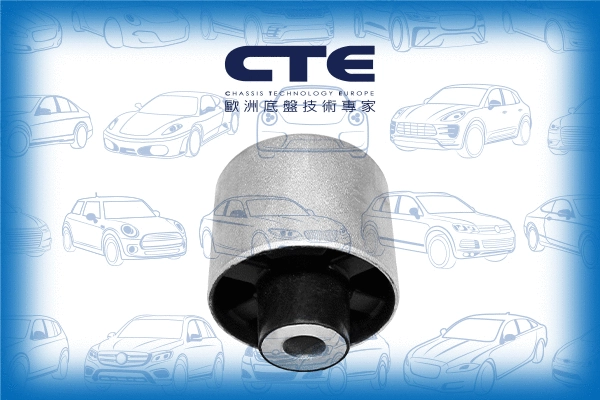 Mounting, control/trailing arm (CBH09051)