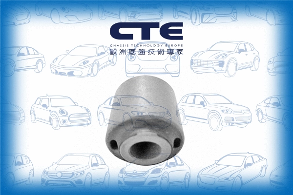 Mounting, control/trailing arm (CBH03048)