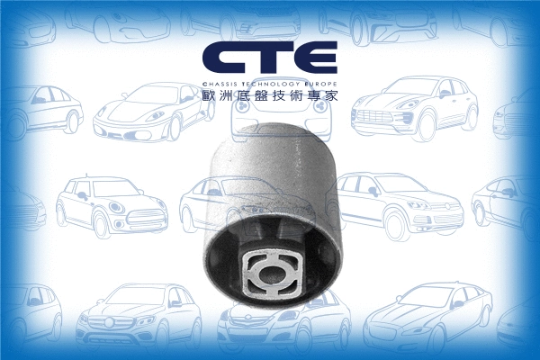 Mounting, control/trailing arm (CBH19021)