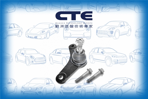 Ball Joint (CBJ09004RA)
