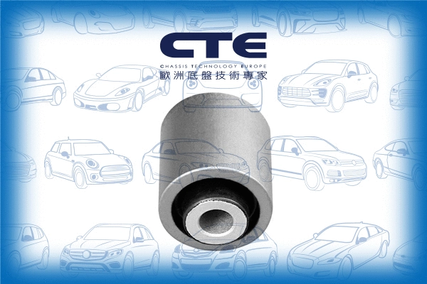 Mounting, control/trailing arm (CBH31020)