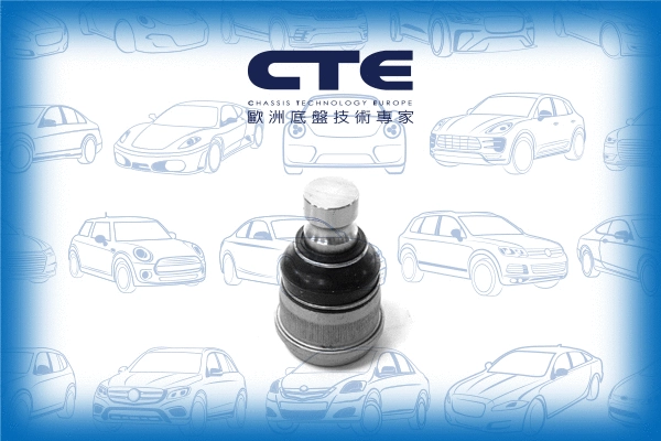 Ball Joint (CBJ15009)