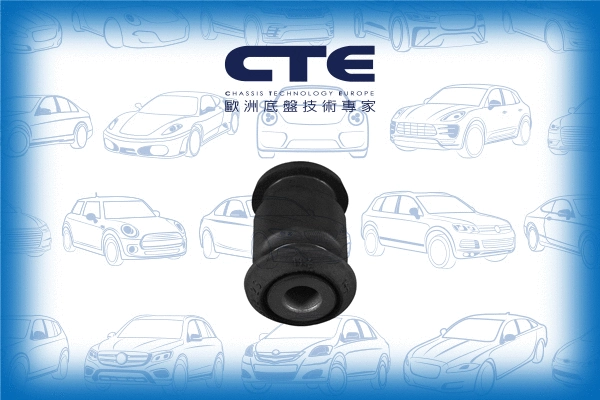 Mounting, control/trailing arm (CBH22021)