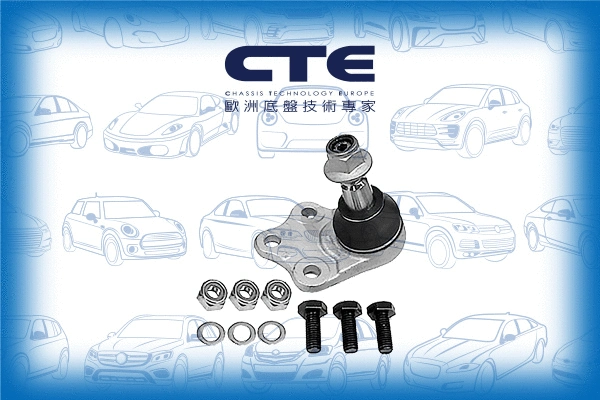 Ball Joint (CBJ31006A)