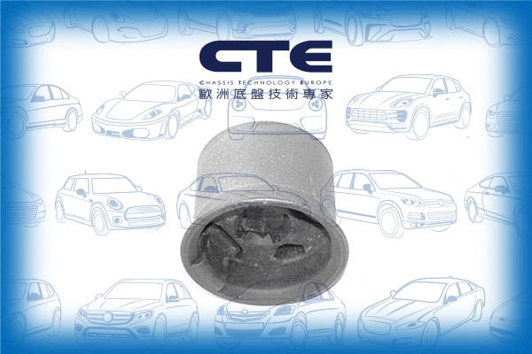 Mounting, control/trailing arm (CBH20023)