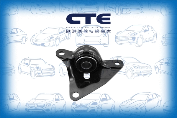 Mounting, control/trailing arm (CBH01046L)