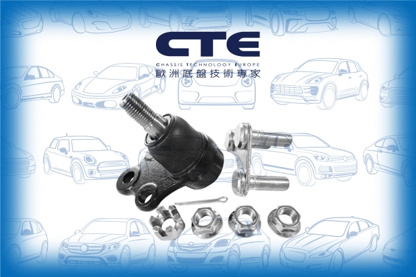 Ball Joint (CBJ06017A)