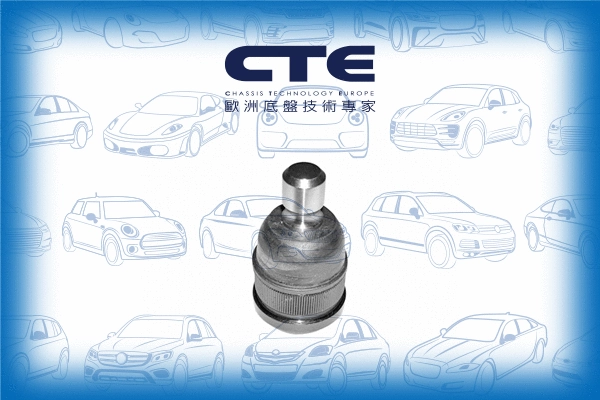 Ball Joint (CBJ03001)