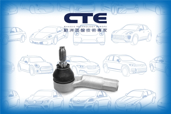 Tie Rod End (CTE20008L)