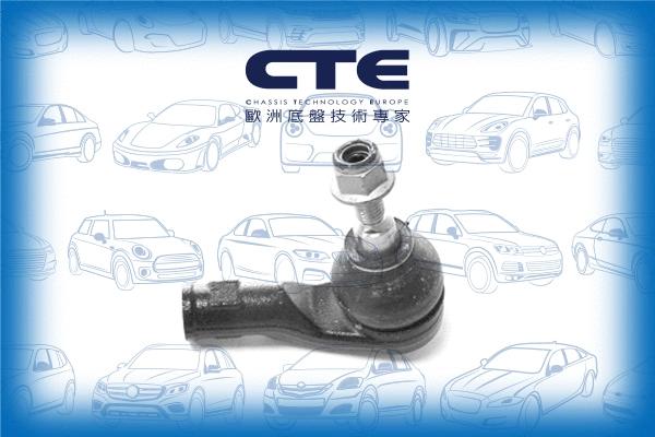 Tie Rod End (CTE31003)