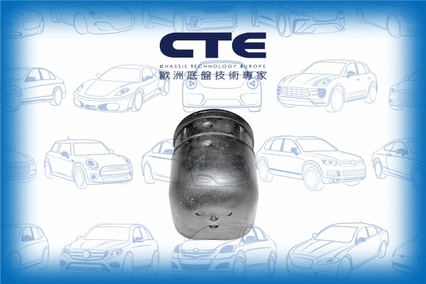 Mounting, control/trailing arm (CBH06012)
