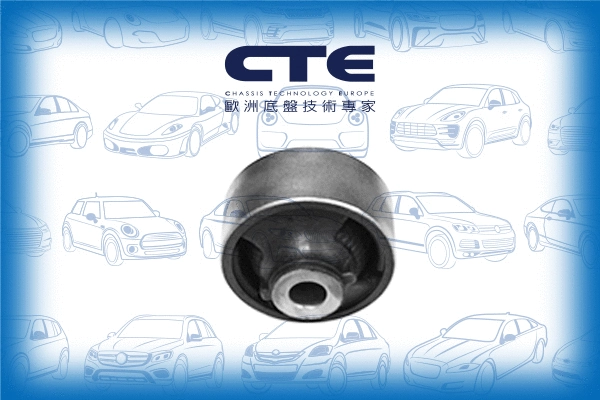 Mounting, control/trailing arm (CBH06052)